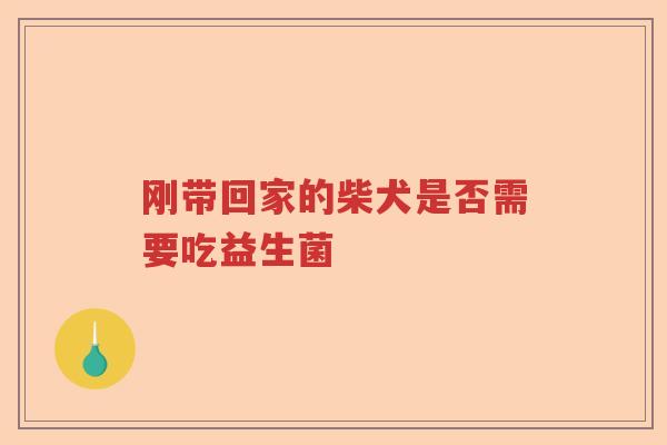 刚带回家的柴犬是否需要吃益生菌