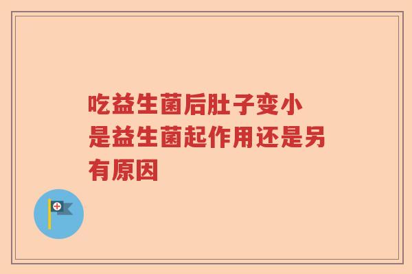 吃益生菌后肚子变小 是益生菌起作用还是另有原因
