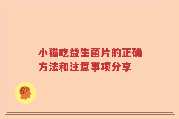 小猫吃益生菌片的正确方法和注意事项分享