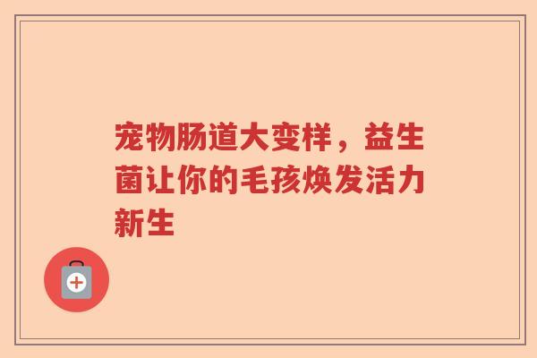 宠物肠道大变样，益生菌让你的毛孩焕发活力新生