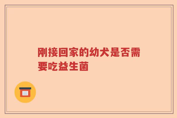 刚接回家的幼犬是否需要吃益生菌