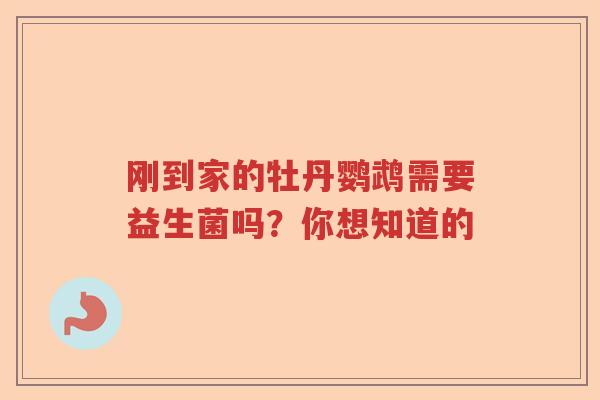 刚到家的牡丹鹦鹉需要益生菌吗？你想知道的