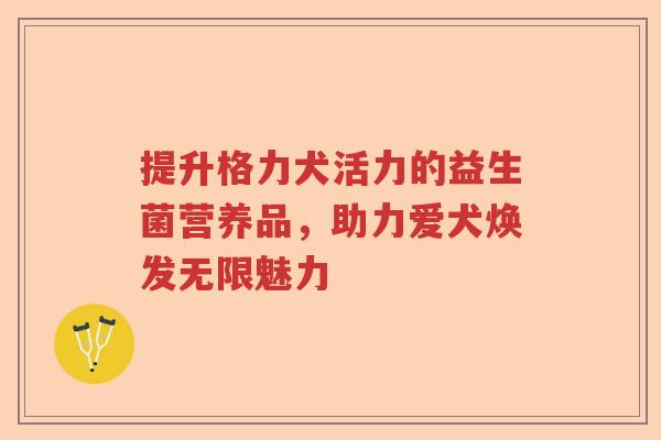 提升格力犬活力的益生菌营养品，助力爱犬焕发无限魅力