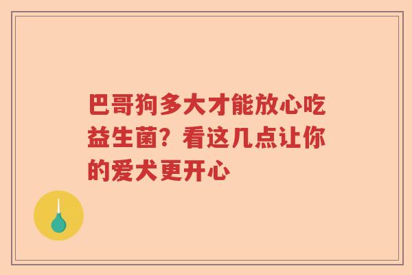 巴哥狗多大才能放心吃益生菌？看这几点让你的爱犬更开心
