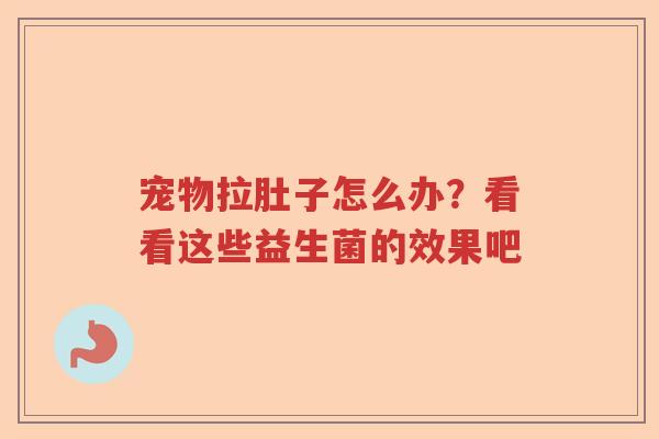 宠物拉肚子怎么办？看看这些益生菌的效果吧
