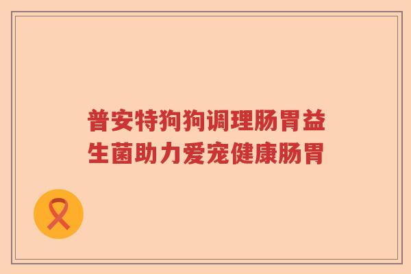 普安特狗狗调理肠胃益生菌助力爱宠健康肠胃