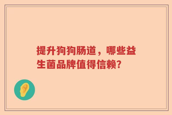 提升狗狗肠道，哪些益生菌品牌值得信赖？