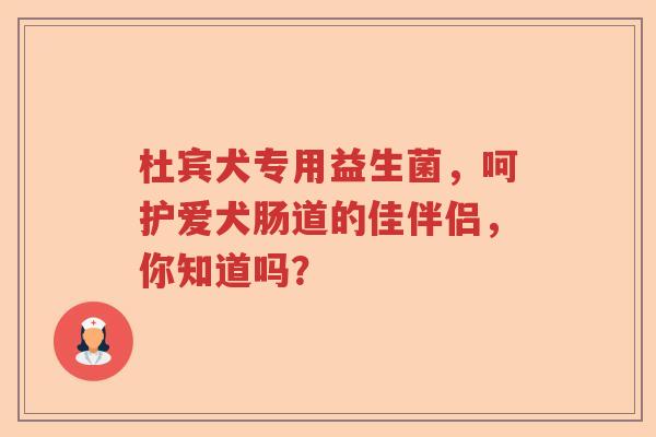 杜宾犬专用益生菌，呵护爱犬肠道的佳伴侣，你知道吗？