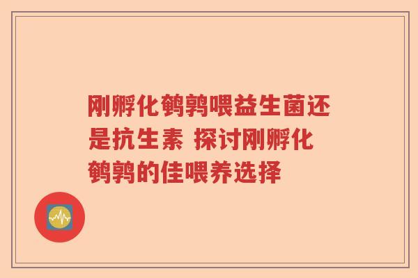 刚孵化鹌鹑喂益生菌还是抗生素 探讨刚孵化鹌鹑的佳喂养选择