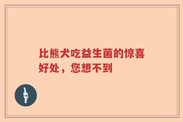 比熊犬吃益生菌的惊喜好处，您想不到