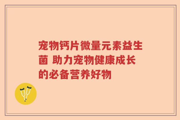 宠物钙片微量元素益生菌 助力宠物健康成长的必备营养好物