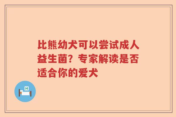 比熊幼犬可以尝试成人益生菌？专家解读是否适合你的爱犬