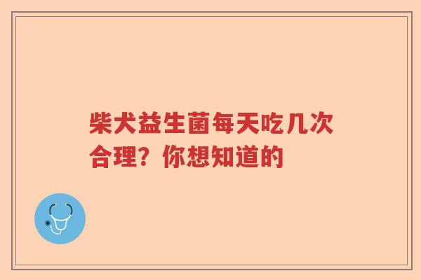 柴犬益生菌每天吃几次合理？你想知道的