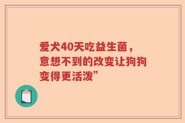 爱犬40天吃益生菌，意想不到的改变让狗狗变得更活泼”