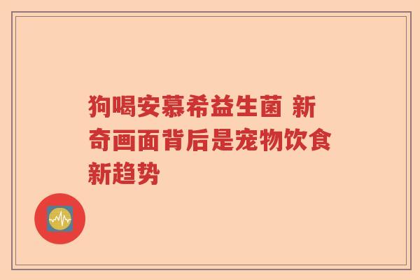 狗喝安慕希益生菌 新奇画面背后是宠物饮食新趋势