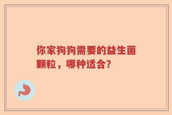 你家狗狗需要的益生菌颗粒，哪种适合？