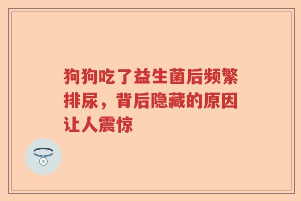 狗狗吃了益生菌后频繁排尿，背后隐藏的原因让人震惊