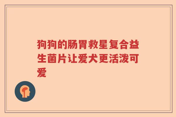 狗狗的肠胃救星复合益生菌片让爱犬更活泼可爱
