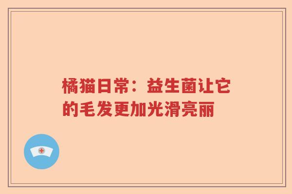 橘猫日常：益生菌让它的毛发更加光滑亮丽