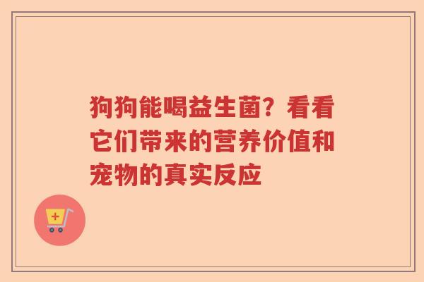 狗狗能喝益生菌？看看它们带来的营养价值和宠物的真实反应