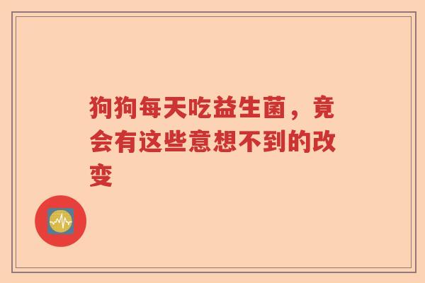 狗狗每天吃益生菌，竟会有这些意想不到的改变