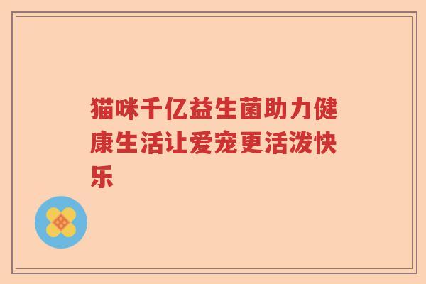 猫咪千亿益生菌助力健康生活让爱宠更活泼快乐