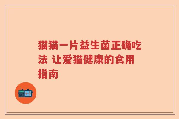 猫猫一片益生菌正确吃法 让爱猫健康的食用指南