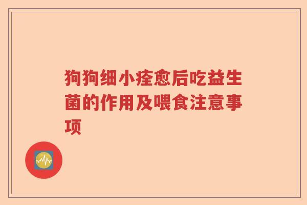 狗狗细小痊愈后吃益生菌的作用及喂食注意事项