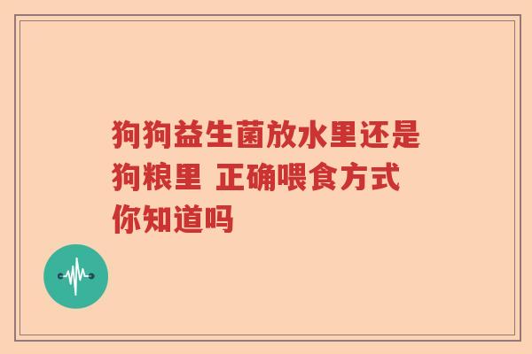 狗狗益生菌放水里还是狗粮里 正确喂食方式你知道吗