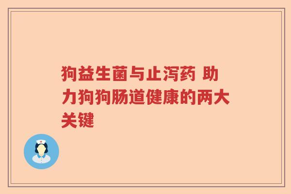 狗益生菌与止泻药 助力狗狗肠道健康的两大关键