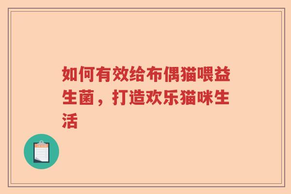 如何有效给布偶猫喂益生菌，打造欢乐猫咪生活