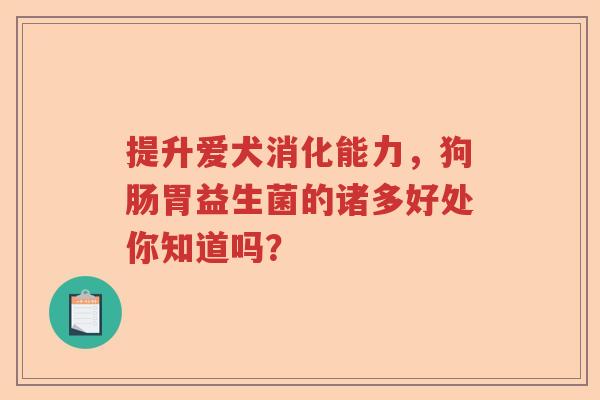 提升爱犬消化能力，狗肠胃益生菌的诸多好处你知道吗？