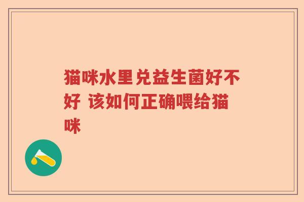 猫咪水里兑益生菌好不好 该如何正确喂给猫咪