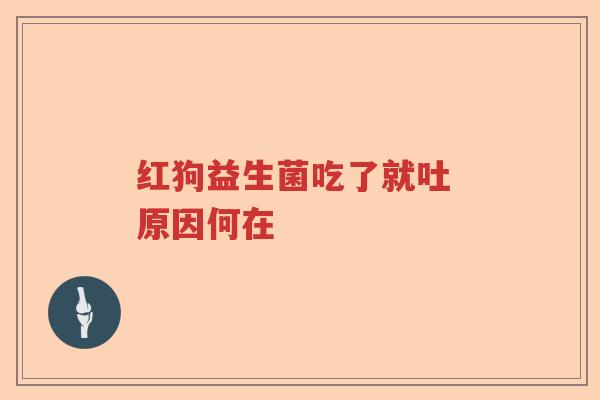 红狗益生菌吃了就吐 原因何在