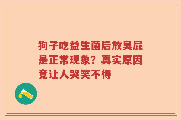 狗子吃益生菌后放臭屁是正常现象？真实原因竟让人哭笑不得