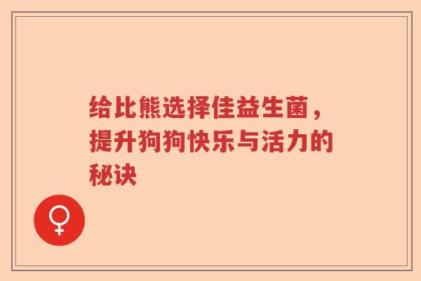 给比熊选择佳益生菌，提升狗狗快乐与活力的秘诀