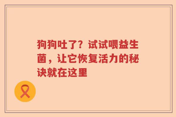狗狗吐了？试试喂益生菌，让它恢复活力的秘诀就在这里