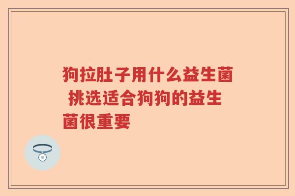 狗拉肚子用什么益生菌 挑选适合狗狗的益生菌很重要