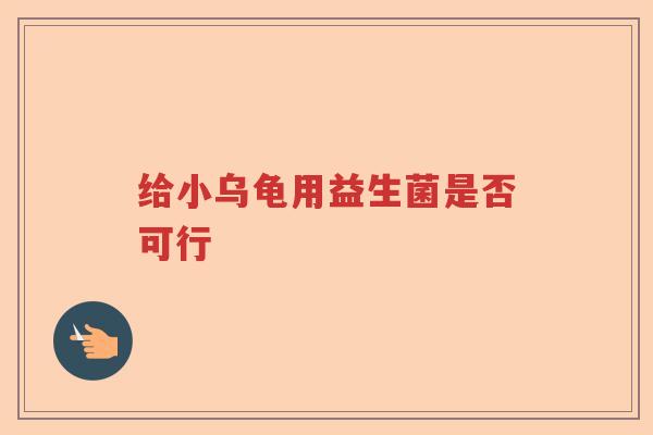 给小乌龟用益生菌是否可行