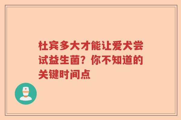 杜宾多大才能让爱犬尝试益生菌？你不知道的关键时间点