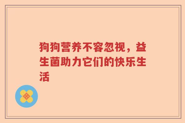狗狗营养不容忽视，益生菌助力它们的快乐生活