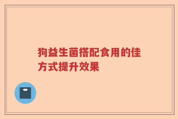 狗益生菌搭配食用的佳方式提升效果