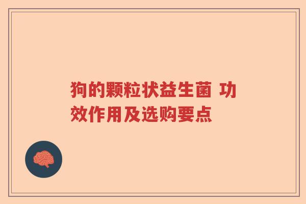 狗的颗粒状益生菌 功效作用及选购要点