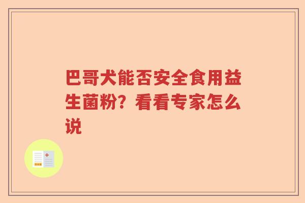 巴哥犬能否安全食用益生菌粉？看看专家怎么说