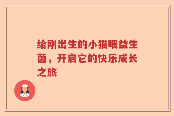 给刚出生的小猫喂益生菌，开启它的快乐成长之旅