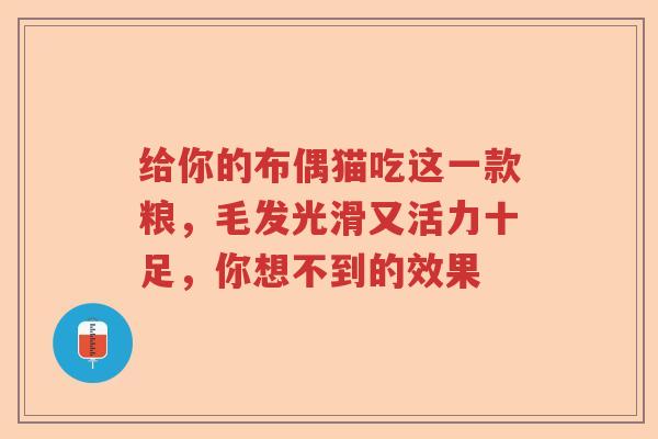 给你的布偶猫吃这一款粮，毛发光滑又活力十足，你想不到的效果
