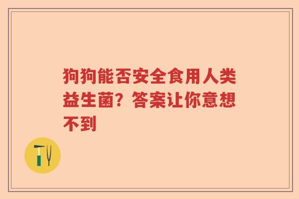 狗狗能否安全食用人类益生菌？答案让你意想不到