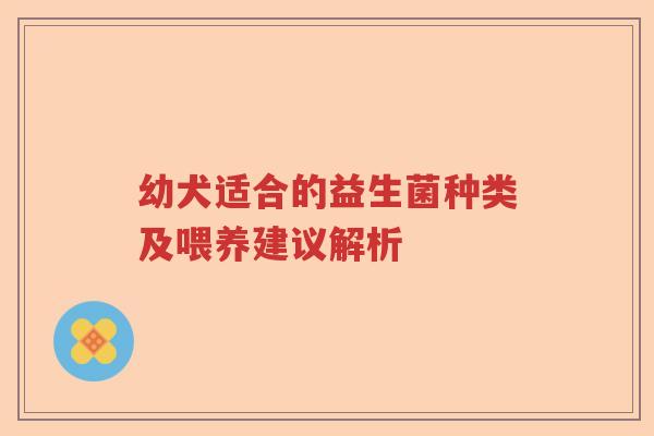幼犬适合的益生菌种类及喂养建议解析