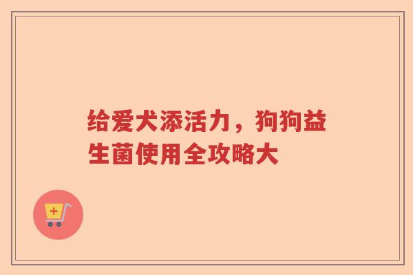 给爱犬添活力，狗狗益生菌使用全攻略大