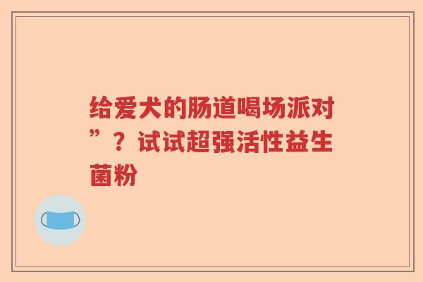 给爱犬的肠道喝场派对”？试试超强活性益生菌粉